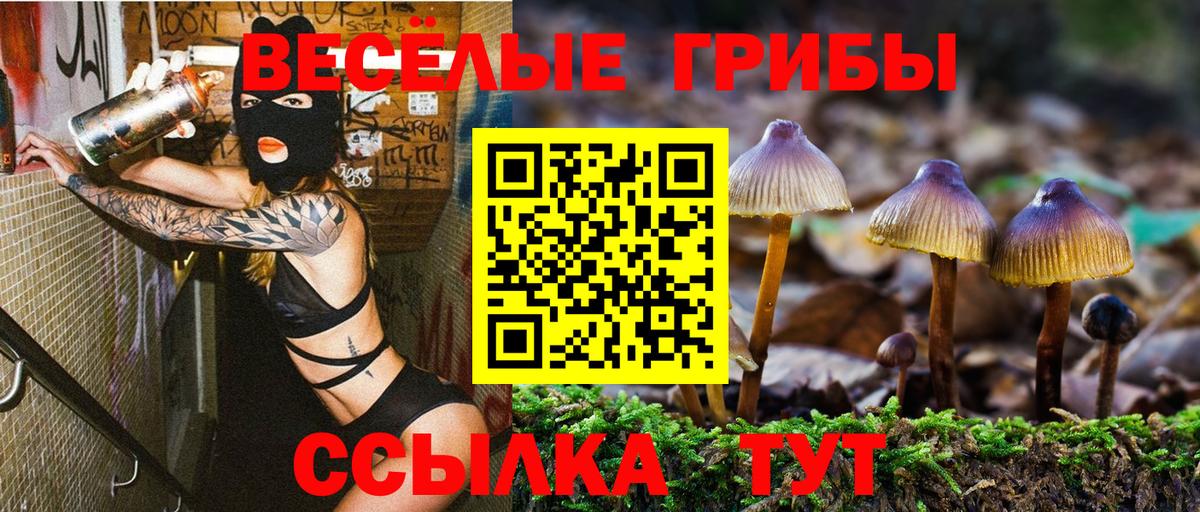 Галлюциногенные грибы Magic Shrooms Кстово