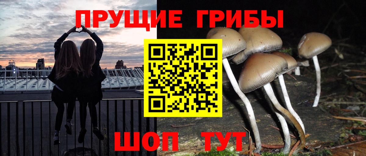 Псилоцибиновые грибы Psilocybe  Вход с VPN  Кстово 